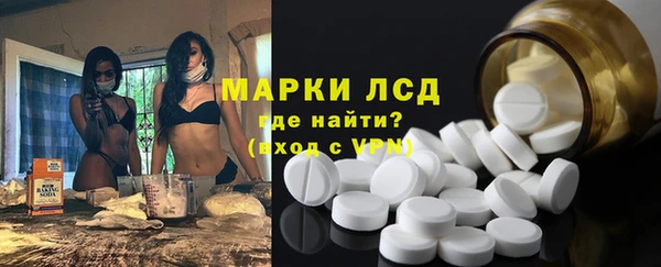 прущие грибы Козловка