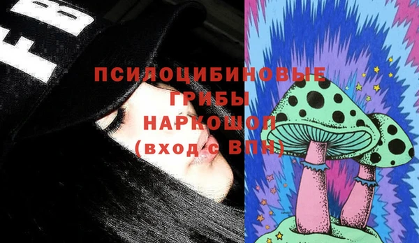 ГАЛЛЮЦИНОГЕННЫЕ ГРИБЫ Кодинск