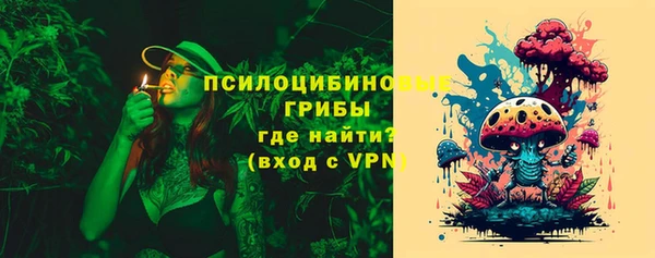 гидра Козельск
