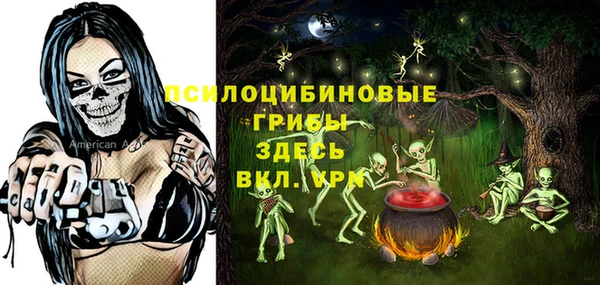 прущие грибы Козловка
