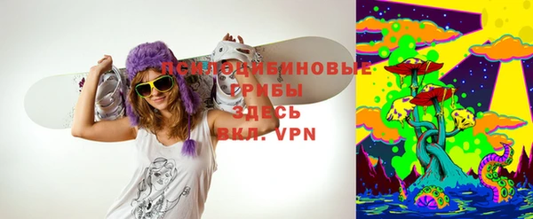 ГАЛЛЮЦИНОГЕННЫЕ ГРИБЫ Кодинск