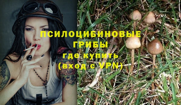 гидра Козельск