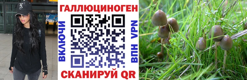 Псилоцибиновые грибы Magic Shrooms  Купить где  Полесск 
